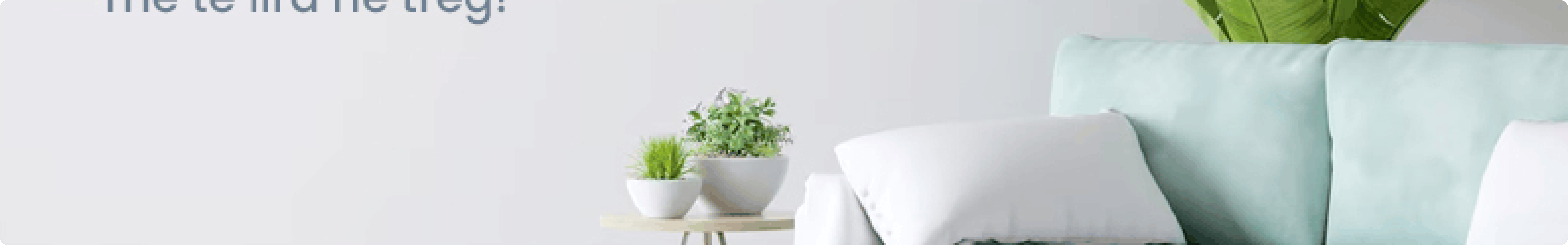 Banner 2